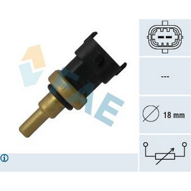 FAE 33495