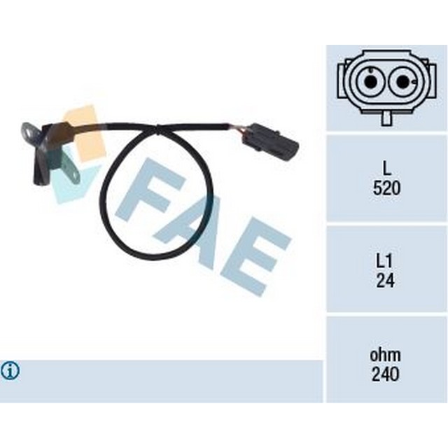 FAE 79024