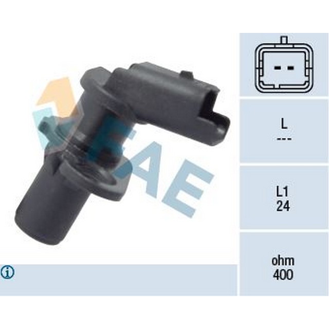 FAE 79135