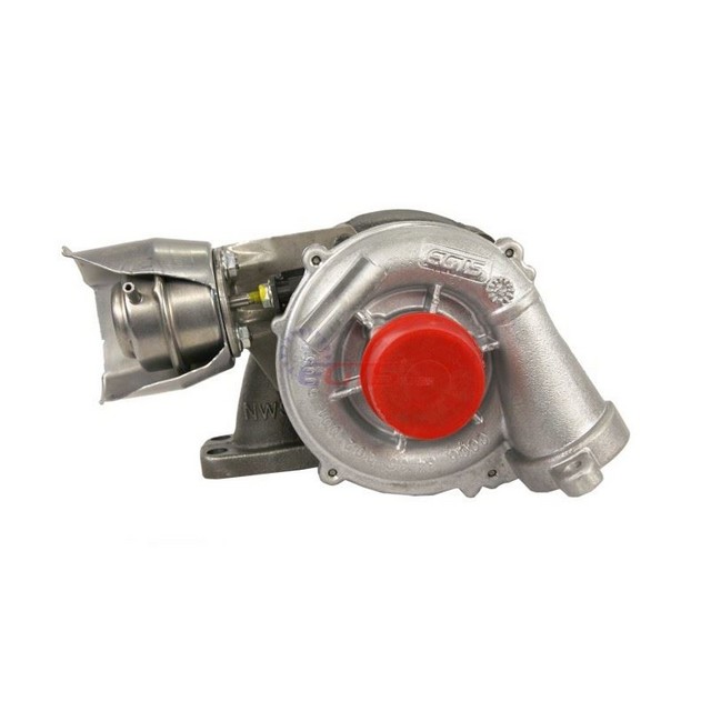 GTS 135983420
