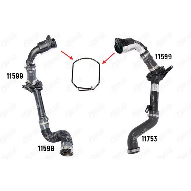 IBR 11485
