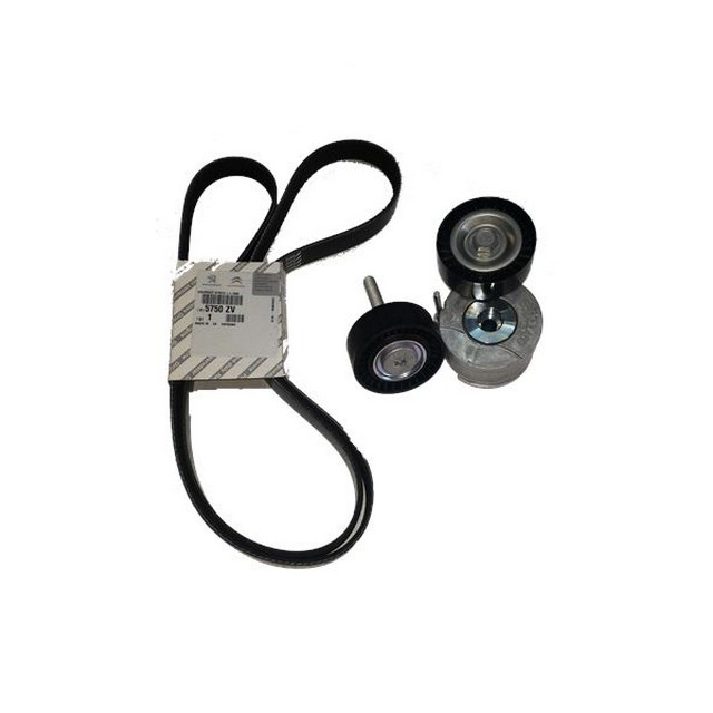 PSA-1611280480 Peugeot Alternatör Rulmanı 2Rulman+1Kayış Bipper Nemo Doblo Fiorino Linea Punto 1.3 1611280480 - Görsel 1