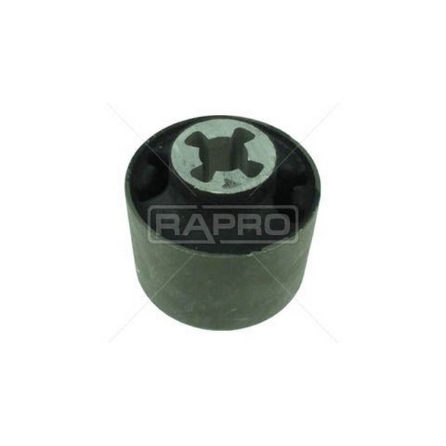 RAP 53183