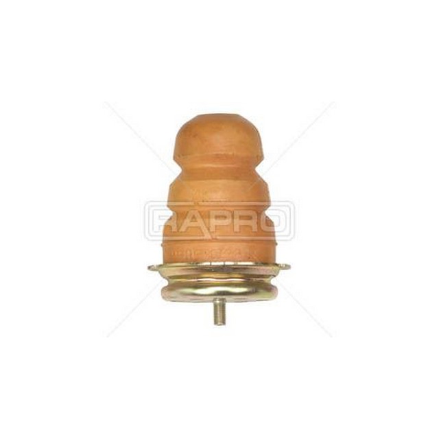 RAP 55172
