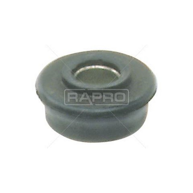 RAP 58091