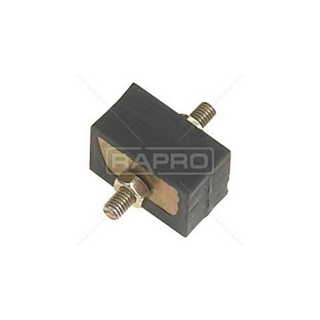 RAP 58098