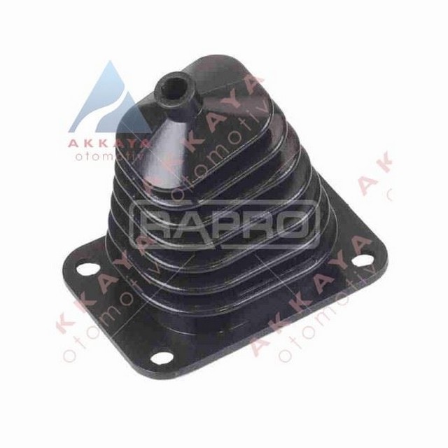 RAP 58307