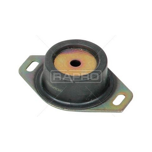 RAP 59611
