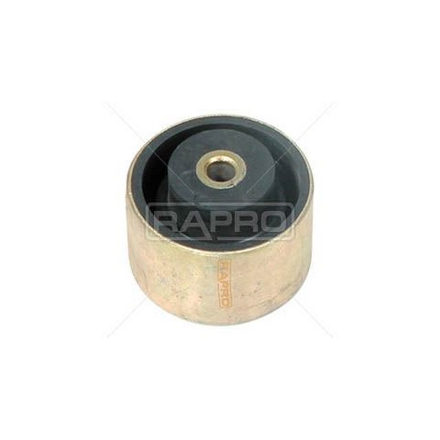 RAP 59624