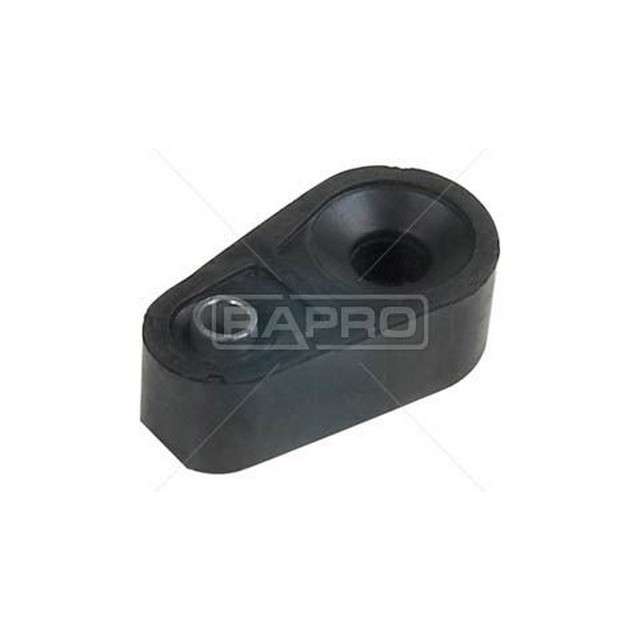 RAP 59813